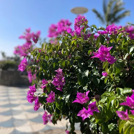 Apartmán Sunny Modern - Sea View And Access *